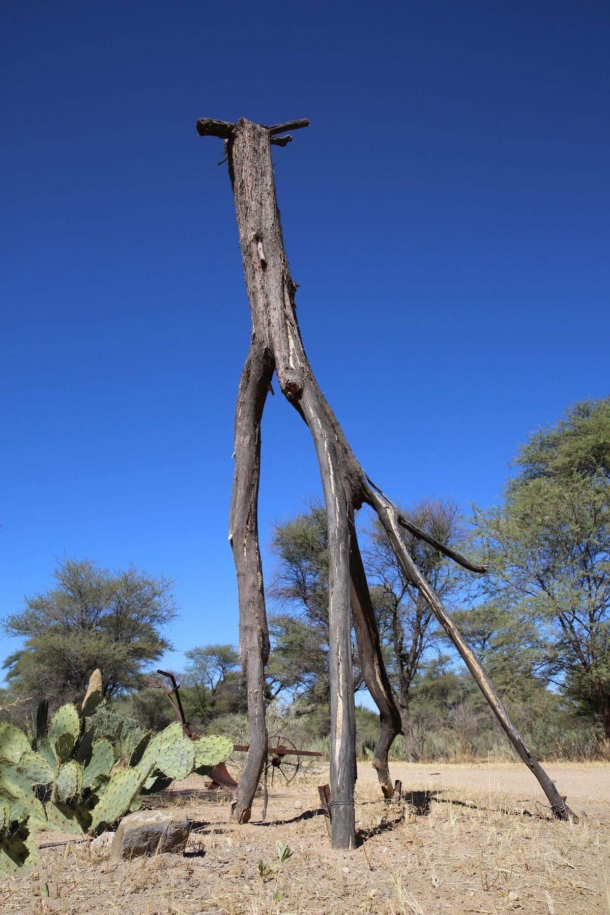 Tree House Namibia Hotel Okahandja Exterior photo