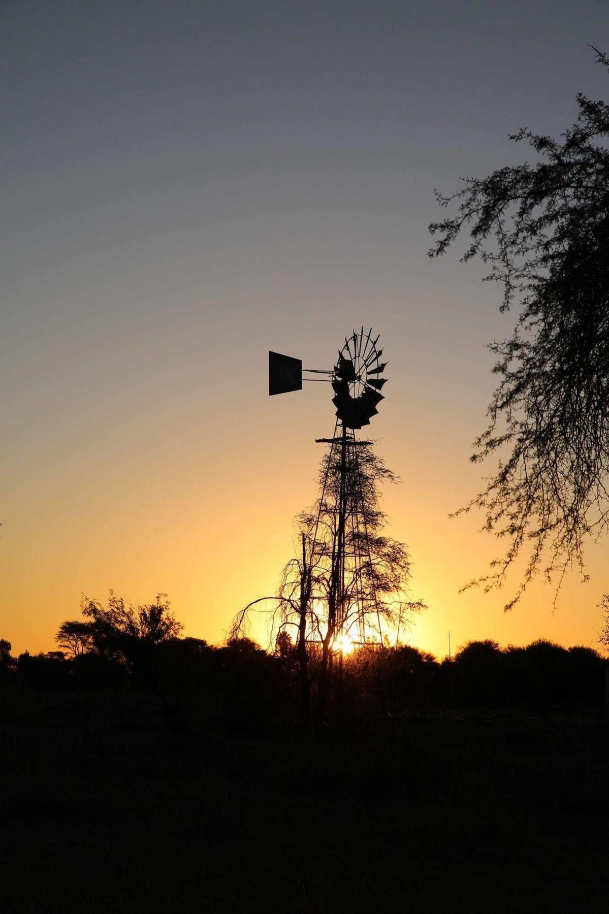 Tree House Namibia Hotel Okahandja Exterior photo