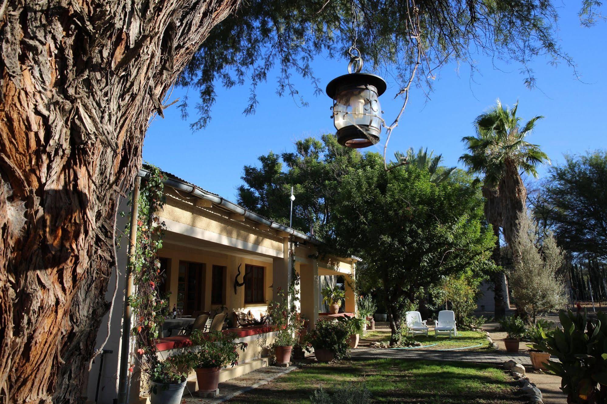 Tree House Namibia Hotel Okahandja Exterior photo