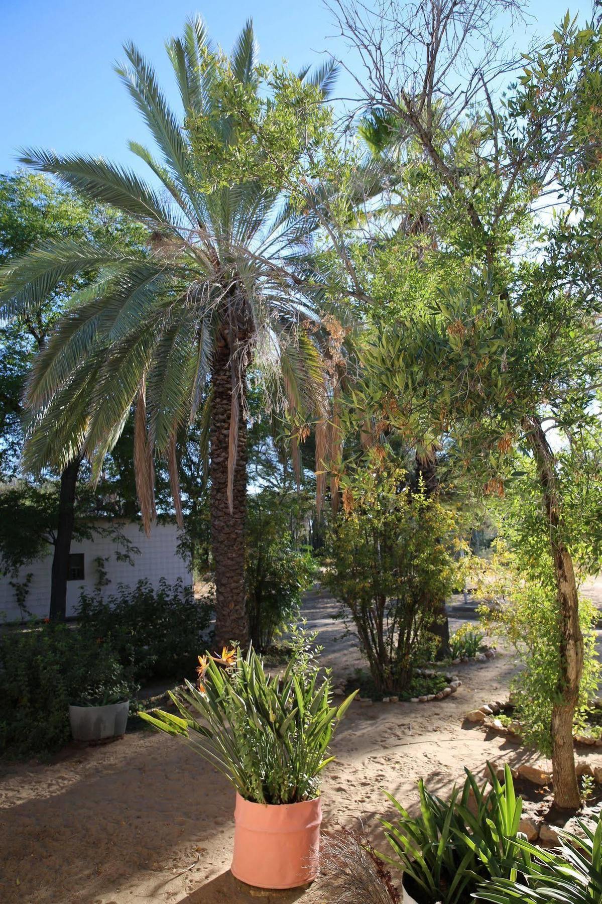 Tree House Namibia Hotel Okahandja Exterior photo